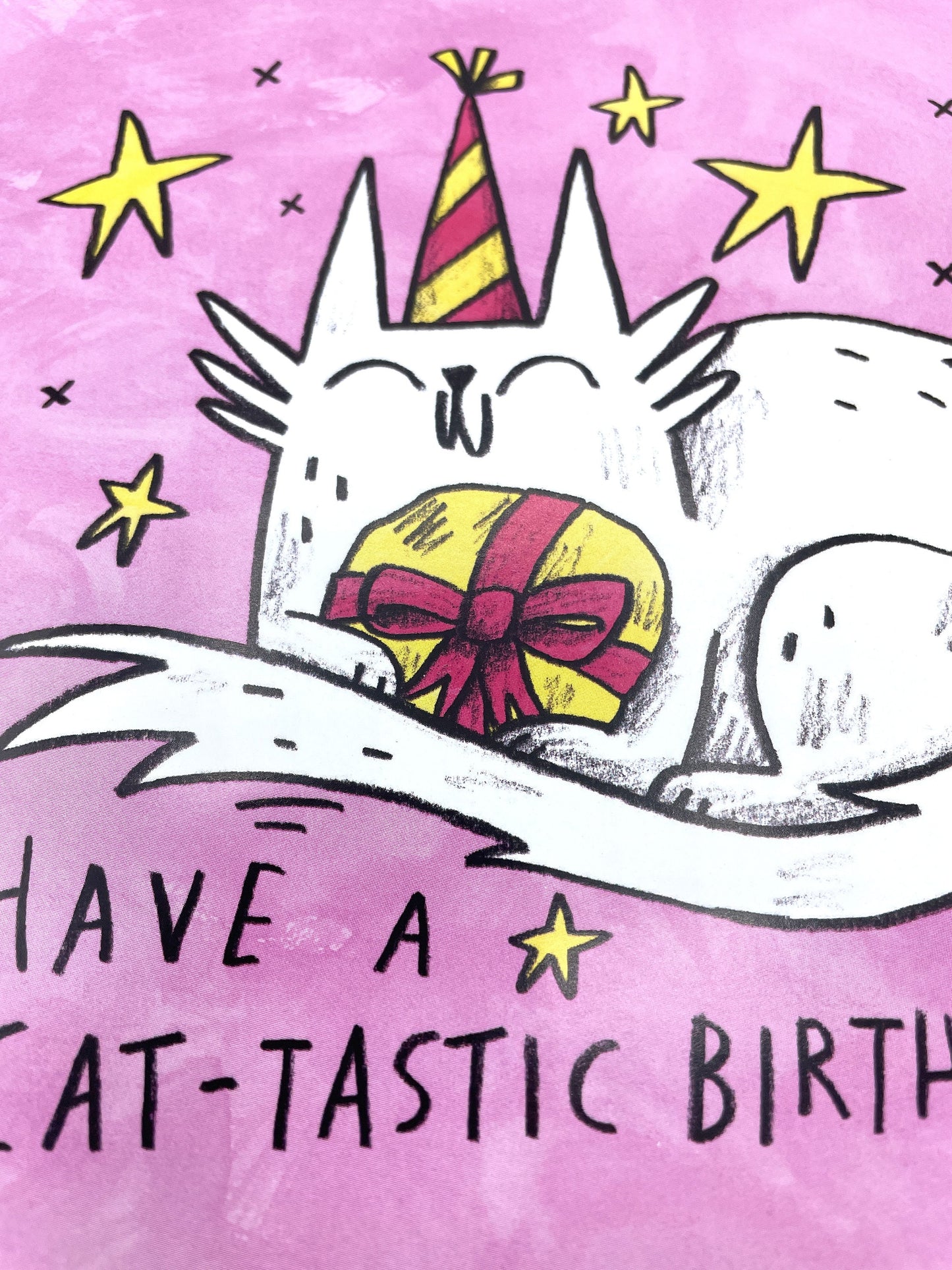 CLEARANCE 10 Pack Cat-tastic Birthday Card