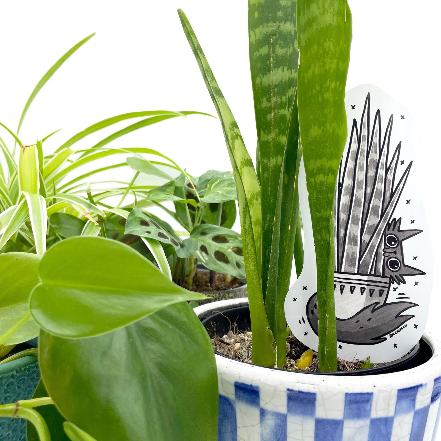 Snake Plant and Cat Sticker