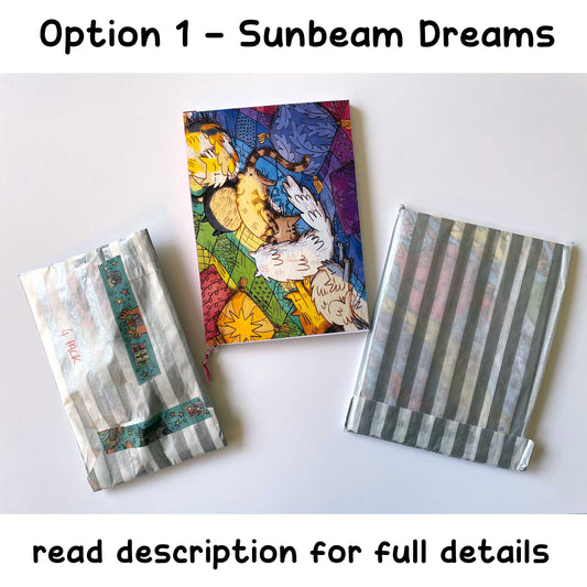 Notebooks and four pin badges set