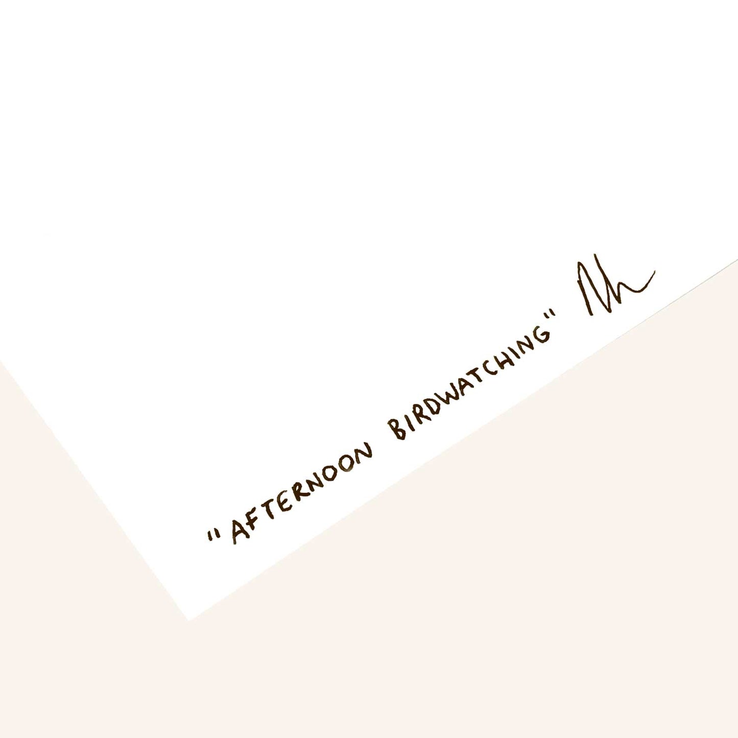 Afternoon Birdwatching Art Print
