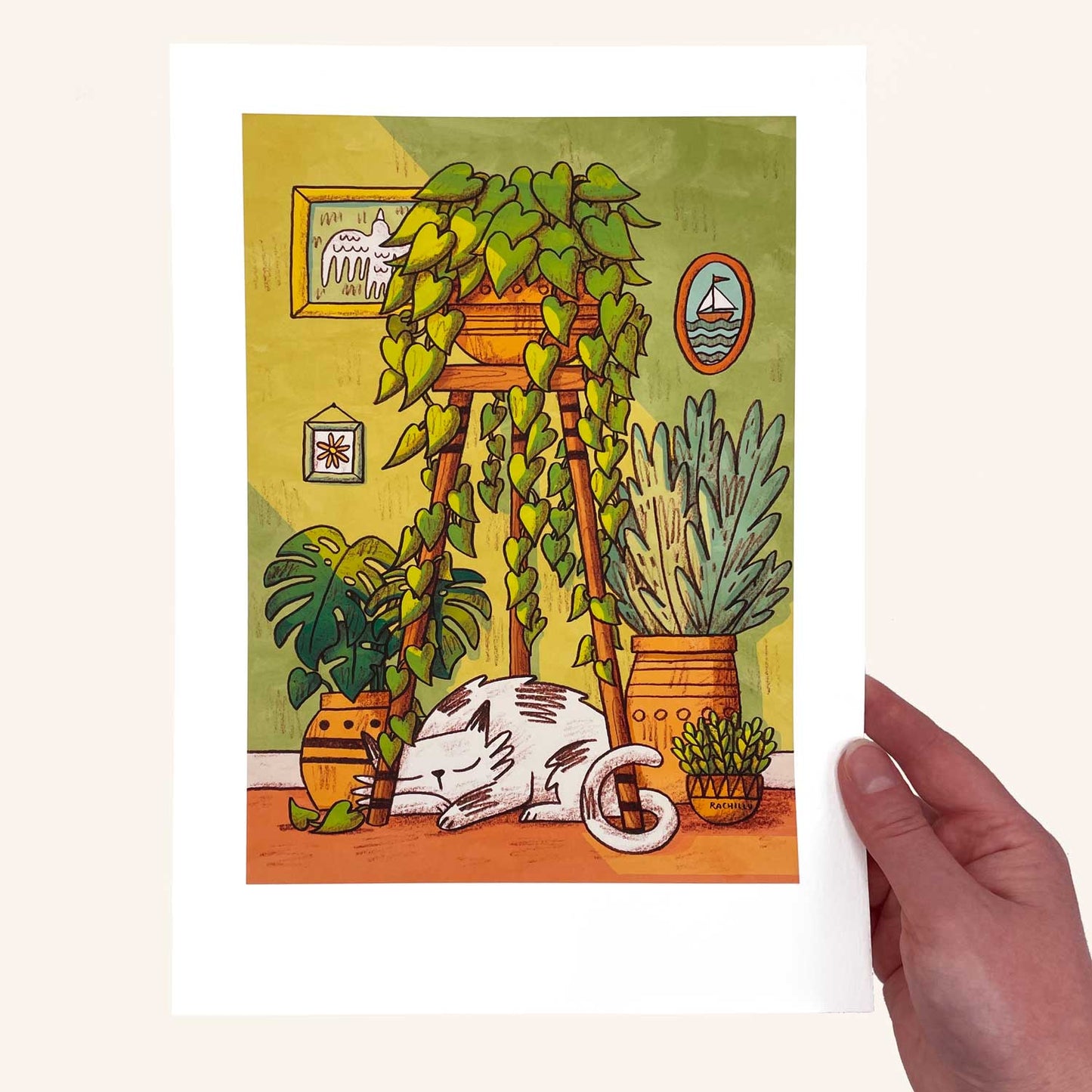 Morning Catnap art print