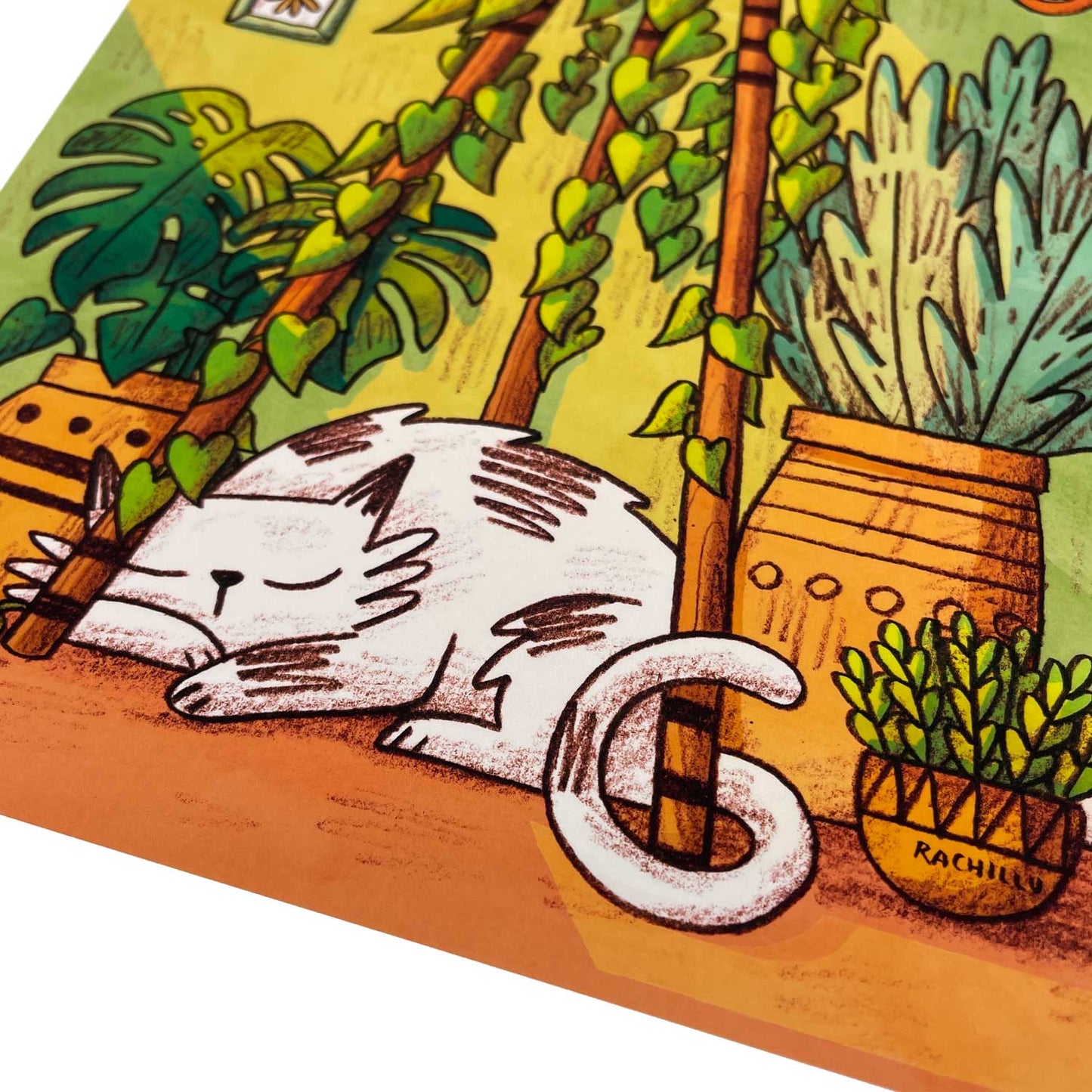 Morning Catnap art print